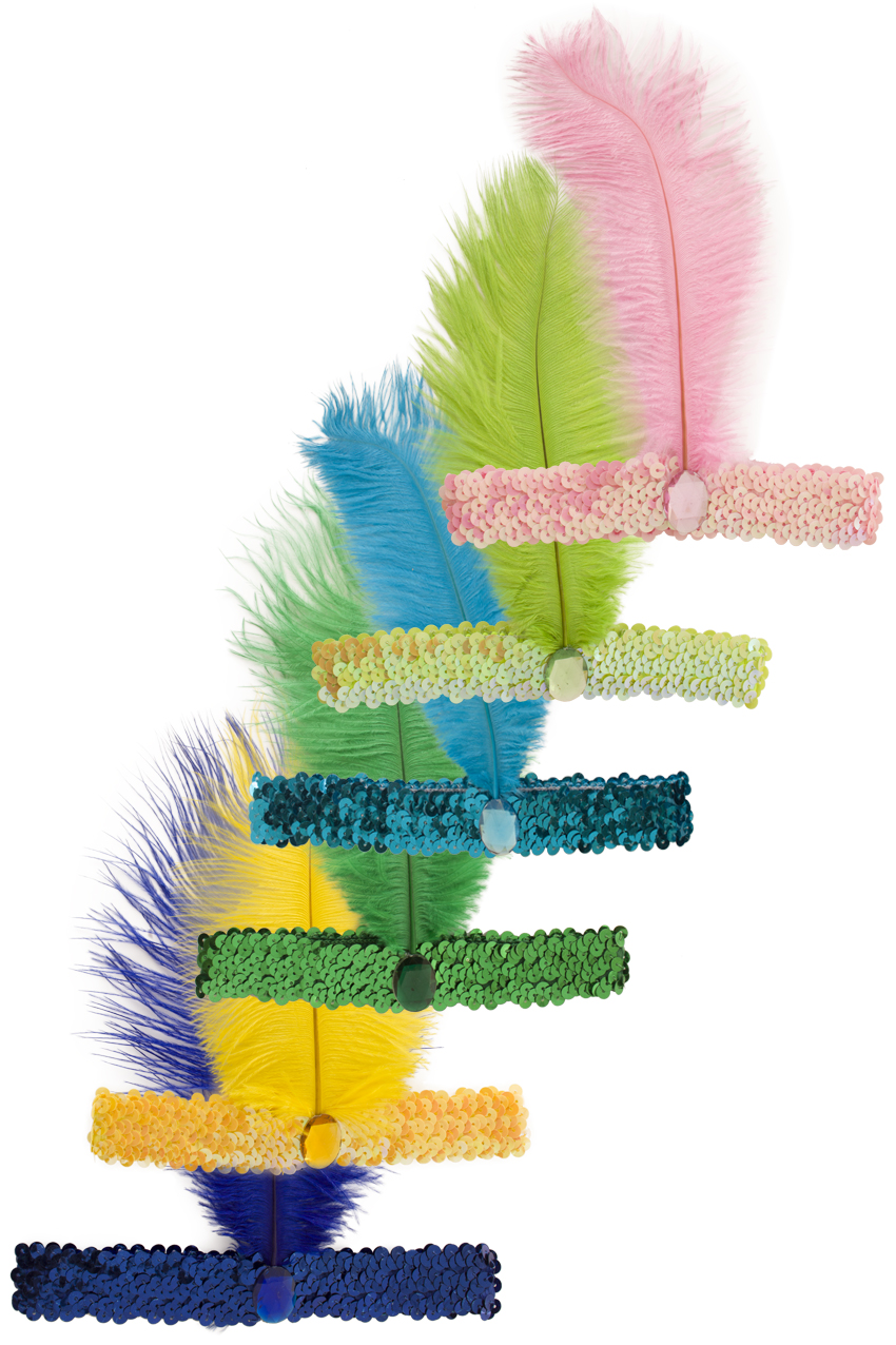 Charleston feather bands assorted