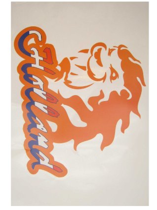 Window stickers orange Dutch Lion 35 x 55 cm 