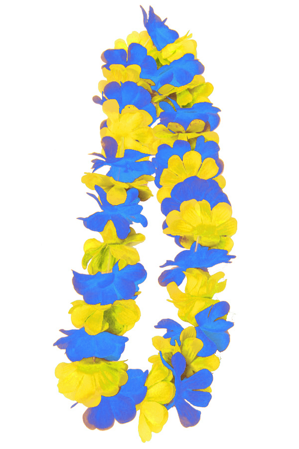 Hawaii flower lei blue/yellow