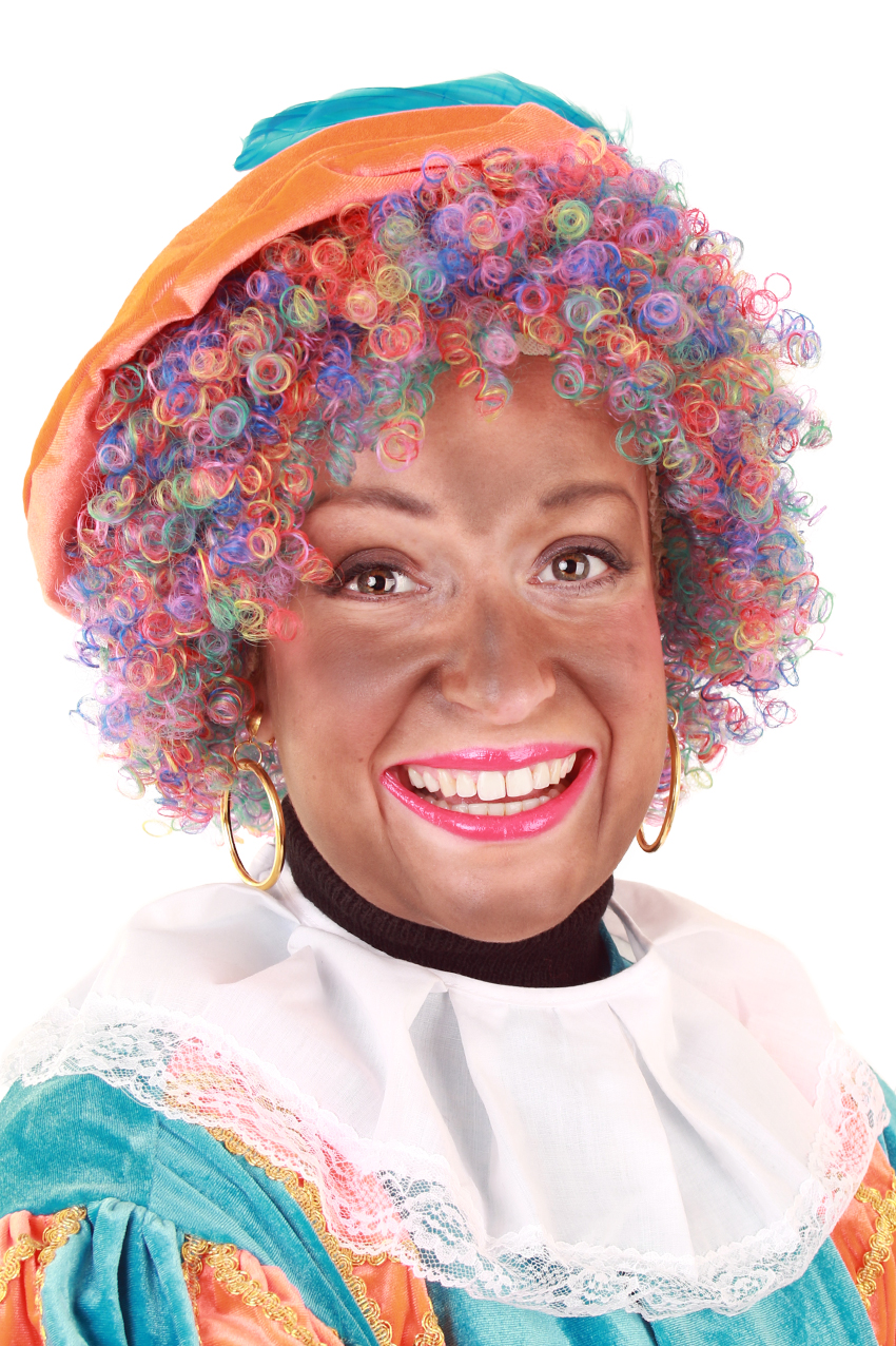 Wig Piet frizzy hair adjustable rainbowcolours