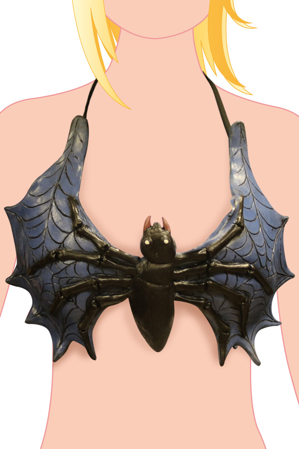 Bra spider on web