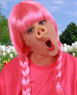 Rubber Pig's nose