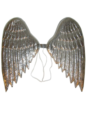 Silver angel's wings