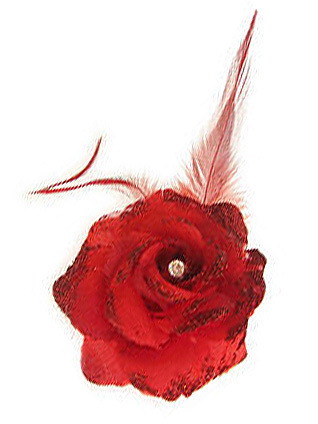 Red flowers on pin / rubber band
