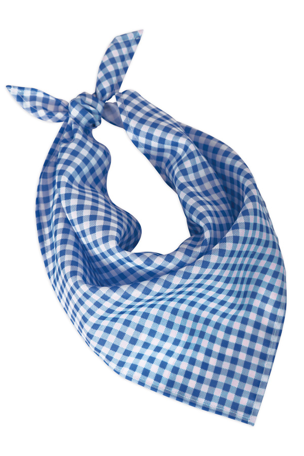 Oktoberfest scarf blue / white 