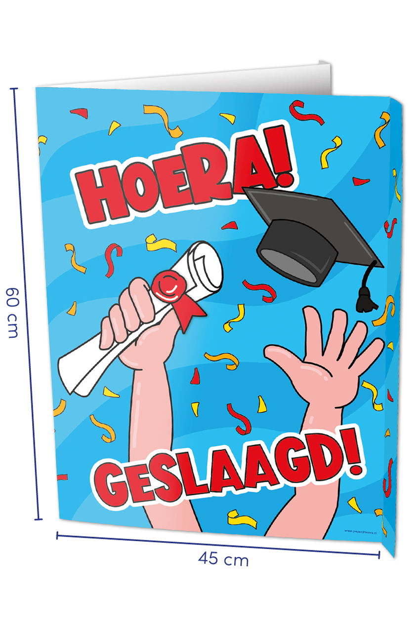 Window sign Geslaagd 60 x 45 cm
