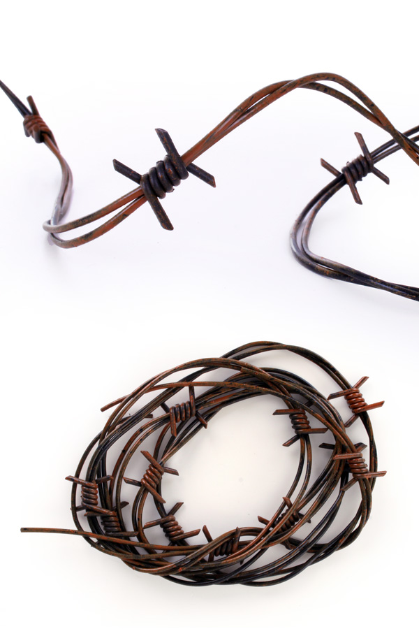 Barbed wire 240 cm.