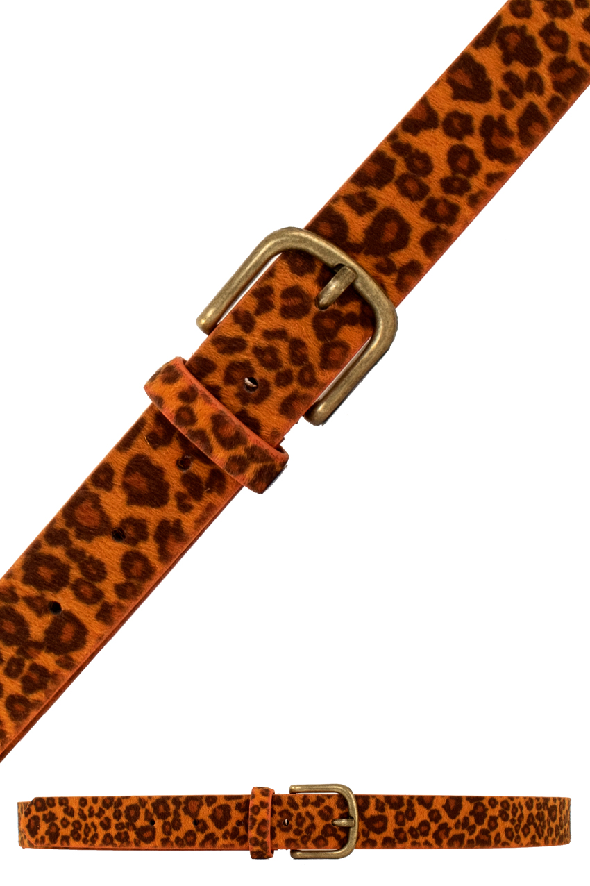 Belt panther orange 
